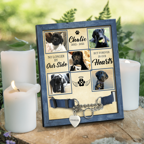 No Longer By Our Side, But Forever In Our Hearts, Personalized Pet Memorial Sign, Gift For Pet Loss