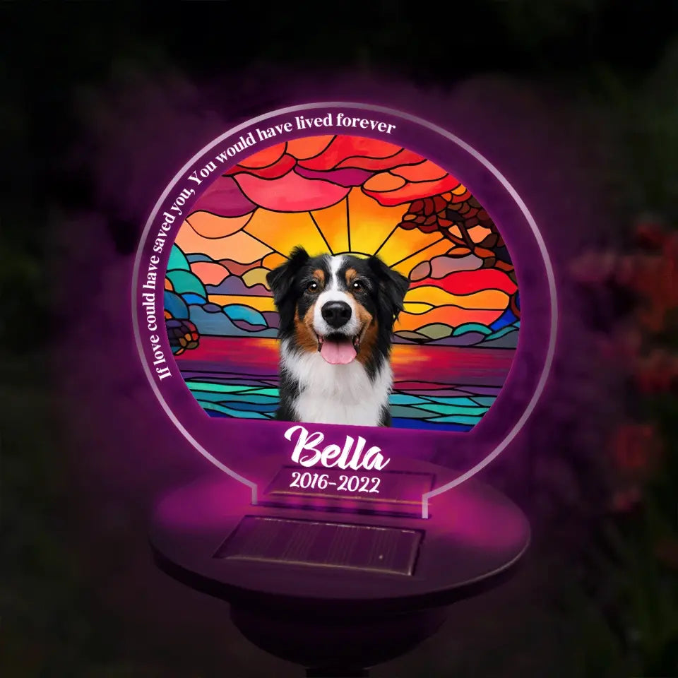 If Love Could Have Saved You - Personalized Solar Light, Pet Loss Gift