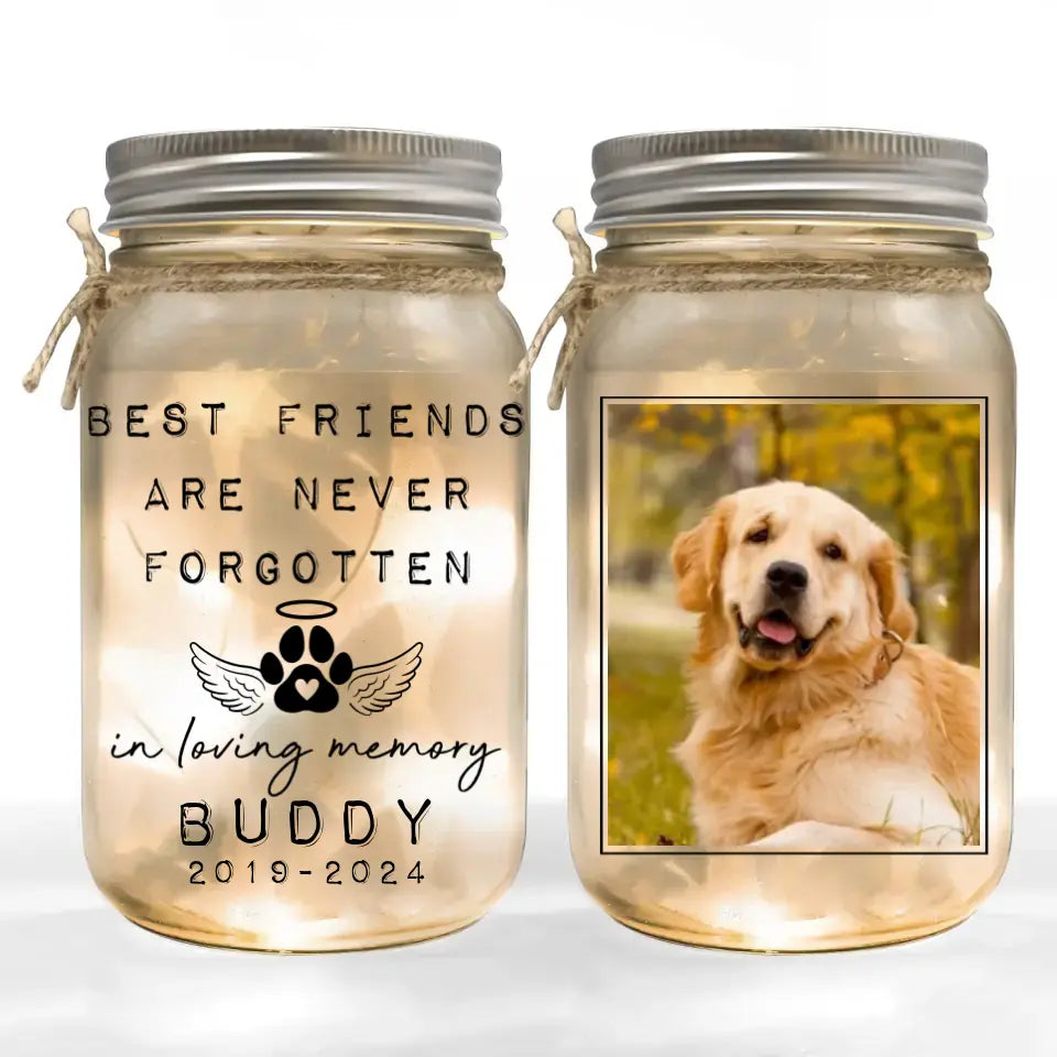 Best Friends Are Never Forgotten - Personalized Mason Jar Light, Unique Gift For Pet Loss - MJL34