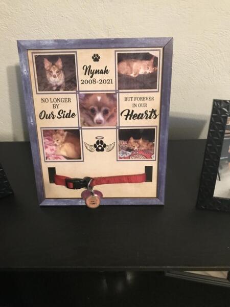 No Longer By Our Side, But Forever In Our Hearts, Personalized Pet Memorial Sign, Gift For Pet Loss