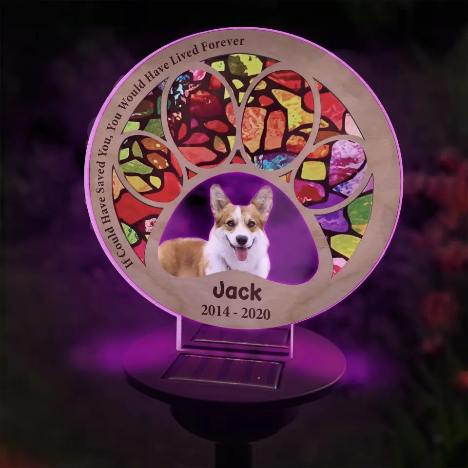 If Could Have Saved You, You Would Have Lived Forever - Personalized Solar Light