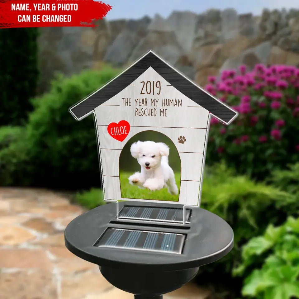 The Year My Human Rescued Me - Personalized Solar Light, Pet Loss Gift