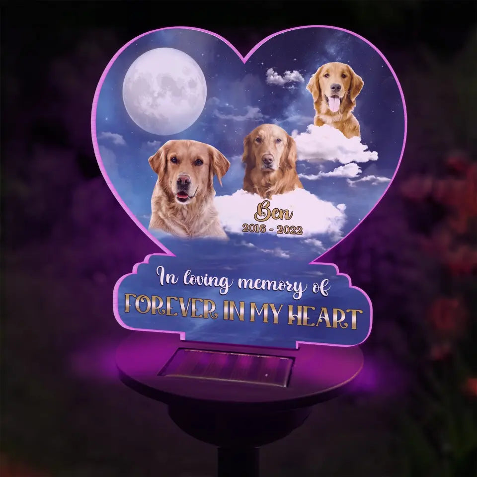 In Loving Memory Of Forever In My Heart- Personalized Solar Light, Memorial Gift - SL119