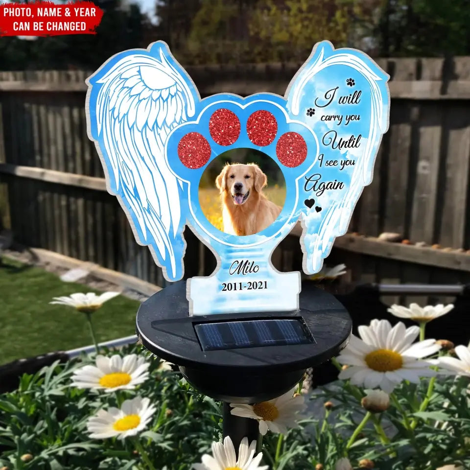 I Will Carry You Until I See You Again - Personalized Solar Light, Pet Loss Gift - SL149