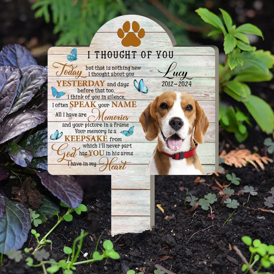 I Thought Of You Today But That Is Nothing New - Personalized Plaque Stake, Memorial Gift For Pet Lover - PS90