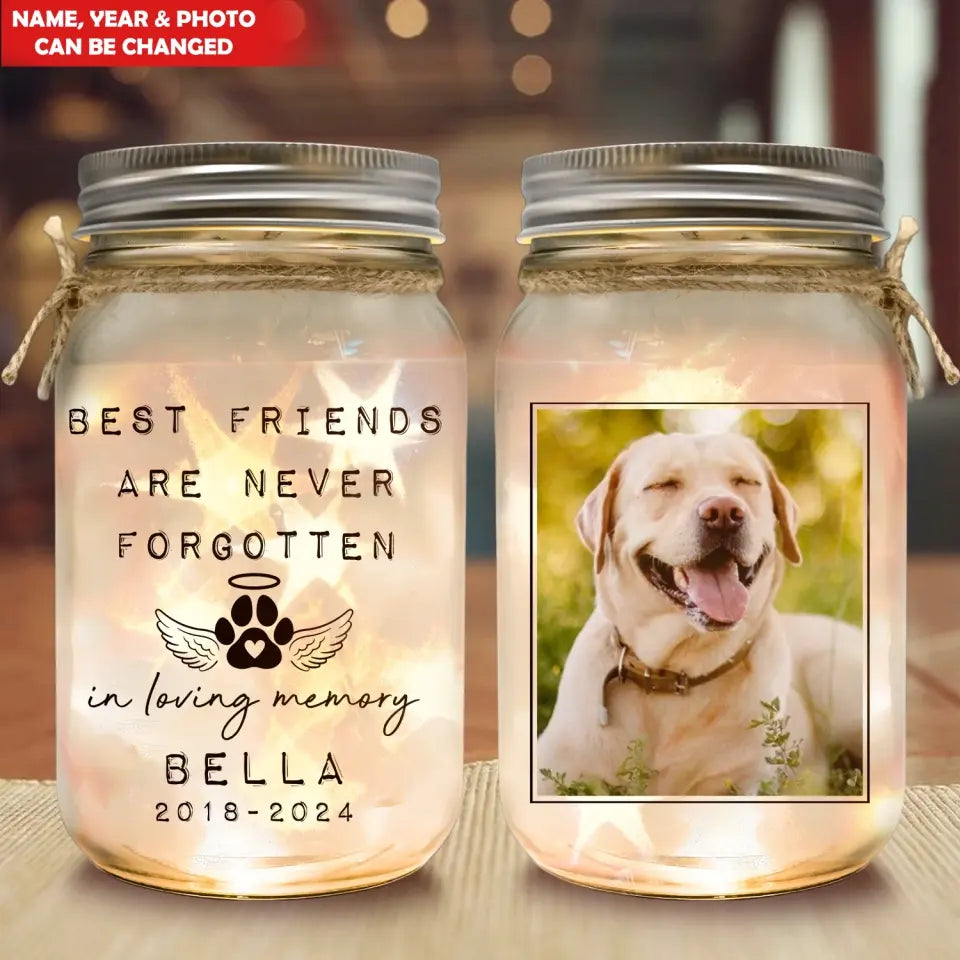 Best Friends Are Never Forgotten - Personalized Mason Jar Light, Unique Gift For Pet Loss - MJL34