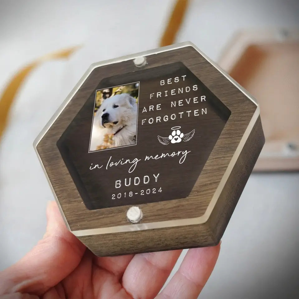 In Loving Memory, Best Friend Are Never Forgotten - Personalized Memorial Box, Unique Gift For Pet Loss - MB14