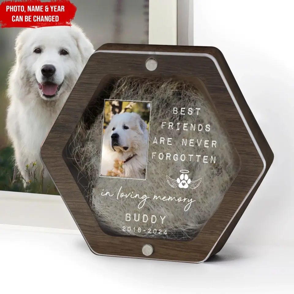 In Loving Memory, Best Friend Are Never Forgotten - Personalized Memorial Box, Unique Gift For Pet Loss - MB14