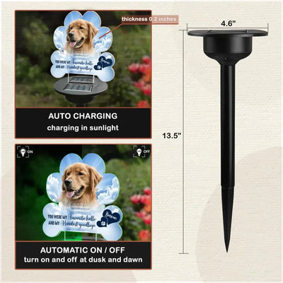 My Favorite Hello And My Hardest Goodbye - Personalized Solar Light, Memorial Pet Loss Gift - SL157