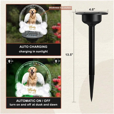 One Angels Wings You Were Taken Away - Personalized Solar Light, Gift For Dog Lover - MM-SL166
