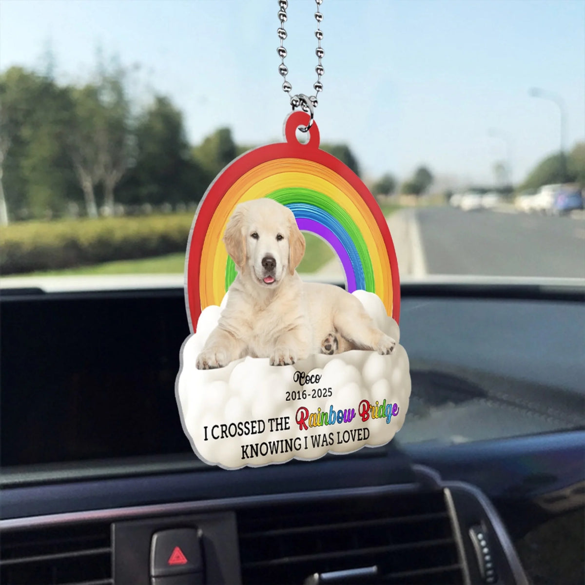 I Crossed The Rainbow Bridge Knowing I Was Loved  mk 5