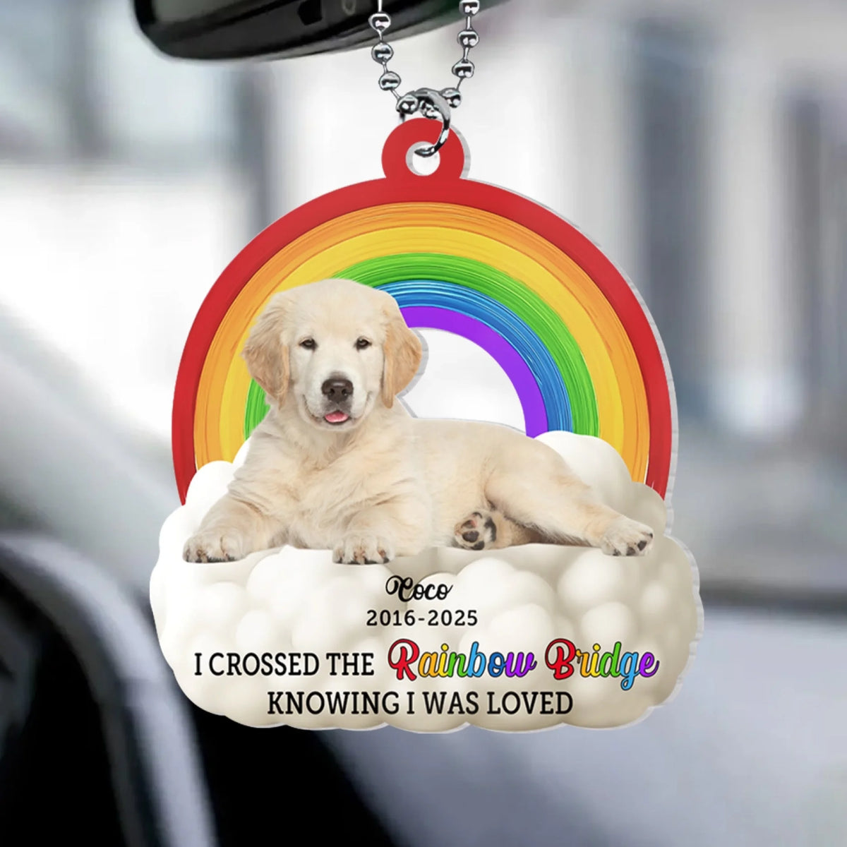 I Crossed The Rainbow Bridge Knowing I Was Loved  mk 4