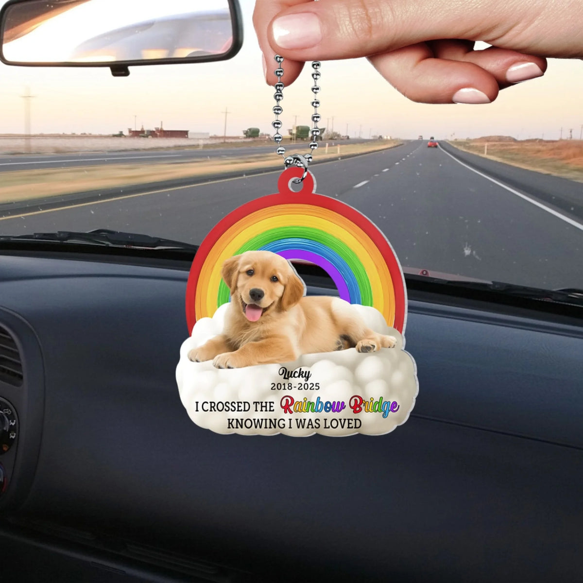 I Crossed The Rainbow Bridge Knowing I Was Loved  mk 3