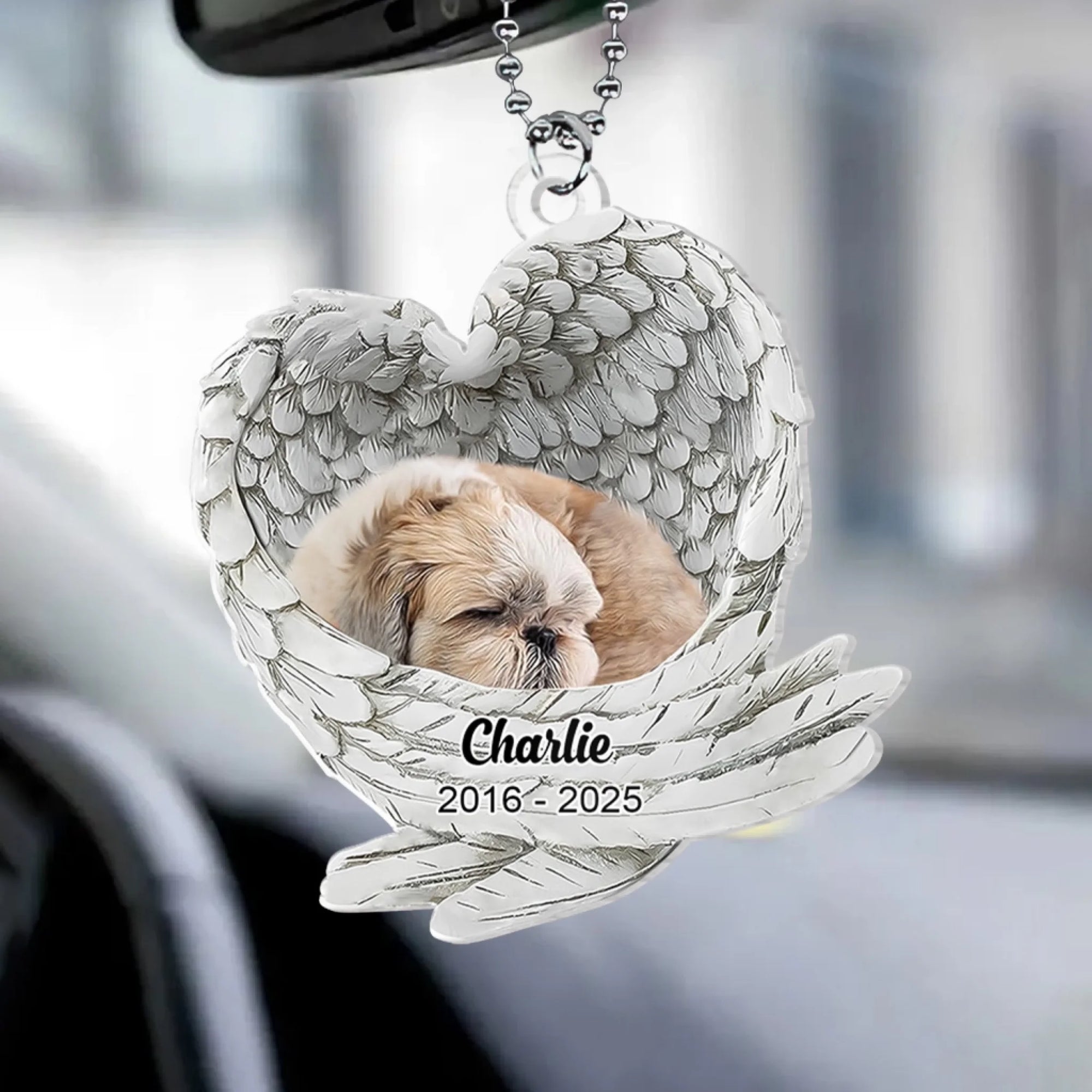 Angel Wing Dog mk 5