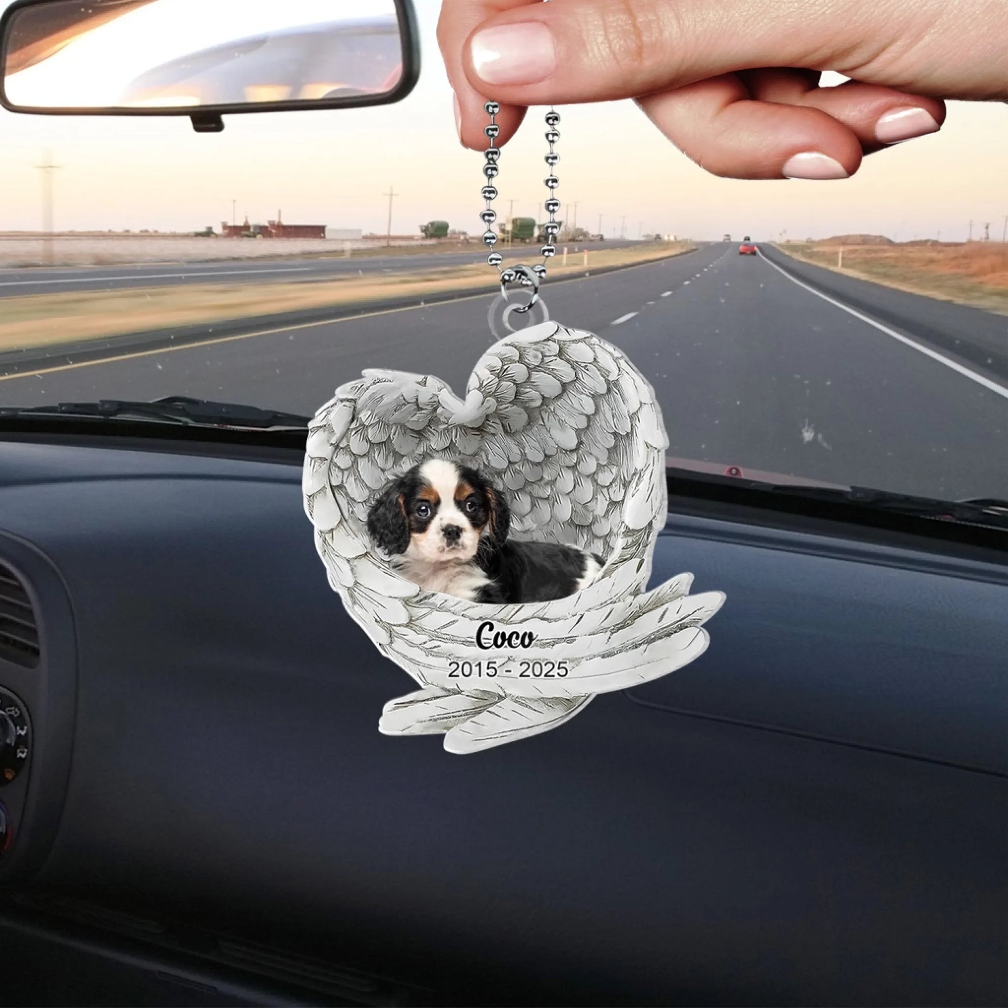 Angel Wing Dog mk 3
