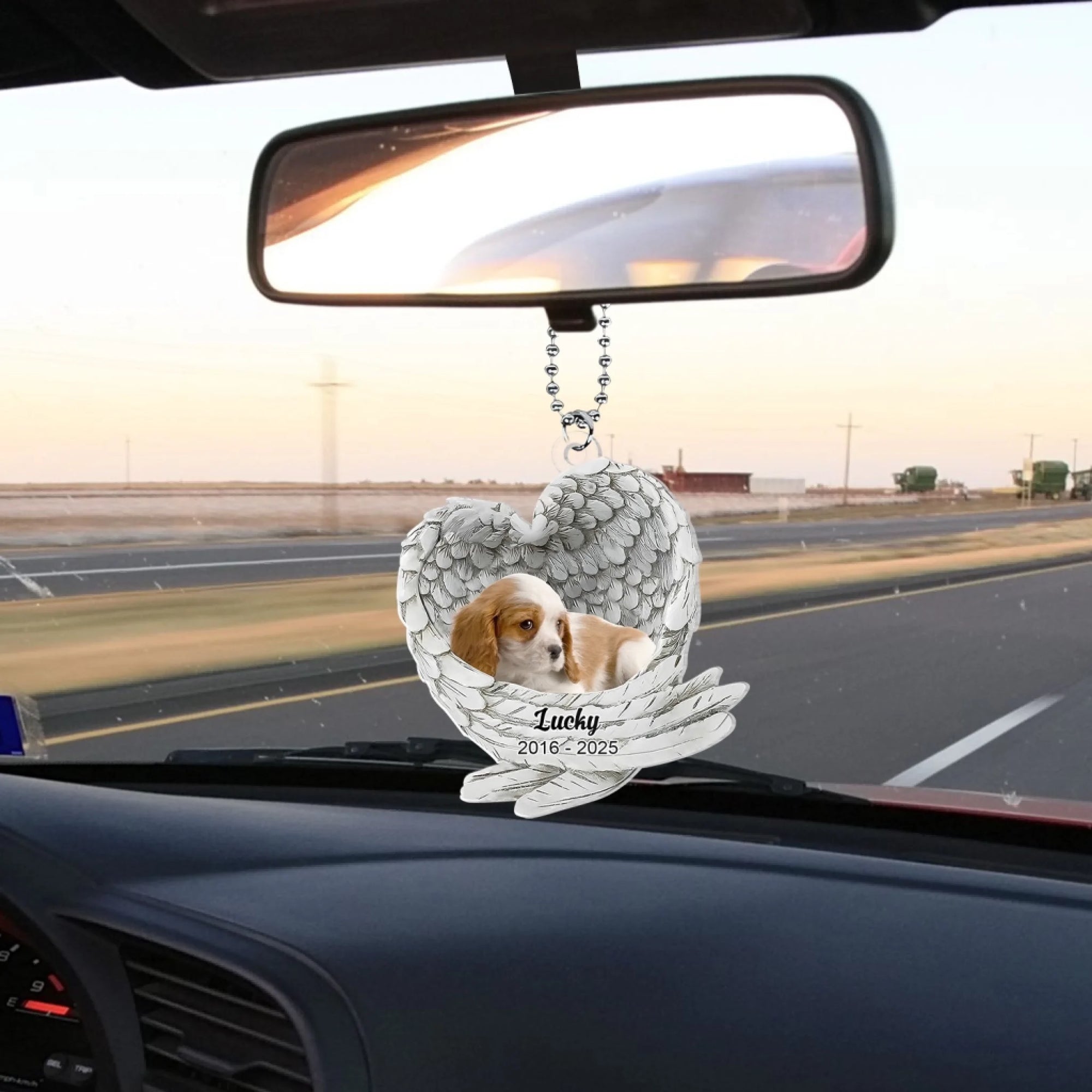 Angel Wing Dog mk 4