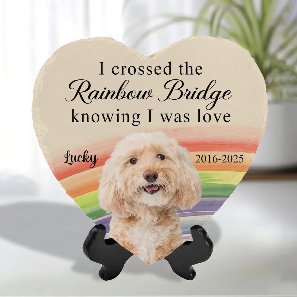 I Crossed The Rainbow Bridge Knowing I Was Loved mk 2