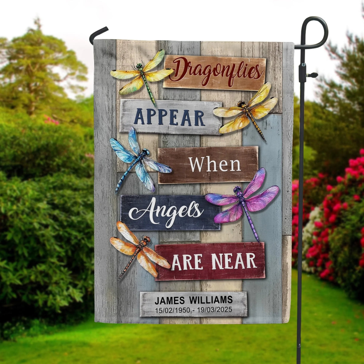 Butterflies Dragonflies Appear When Angels Are Near mk 5