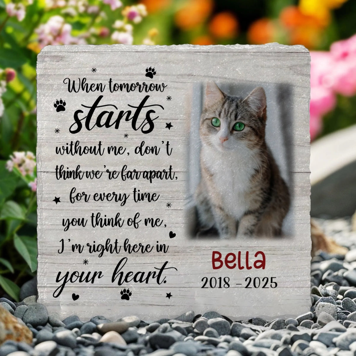 When Tomorrow Starts Without Me mk 3