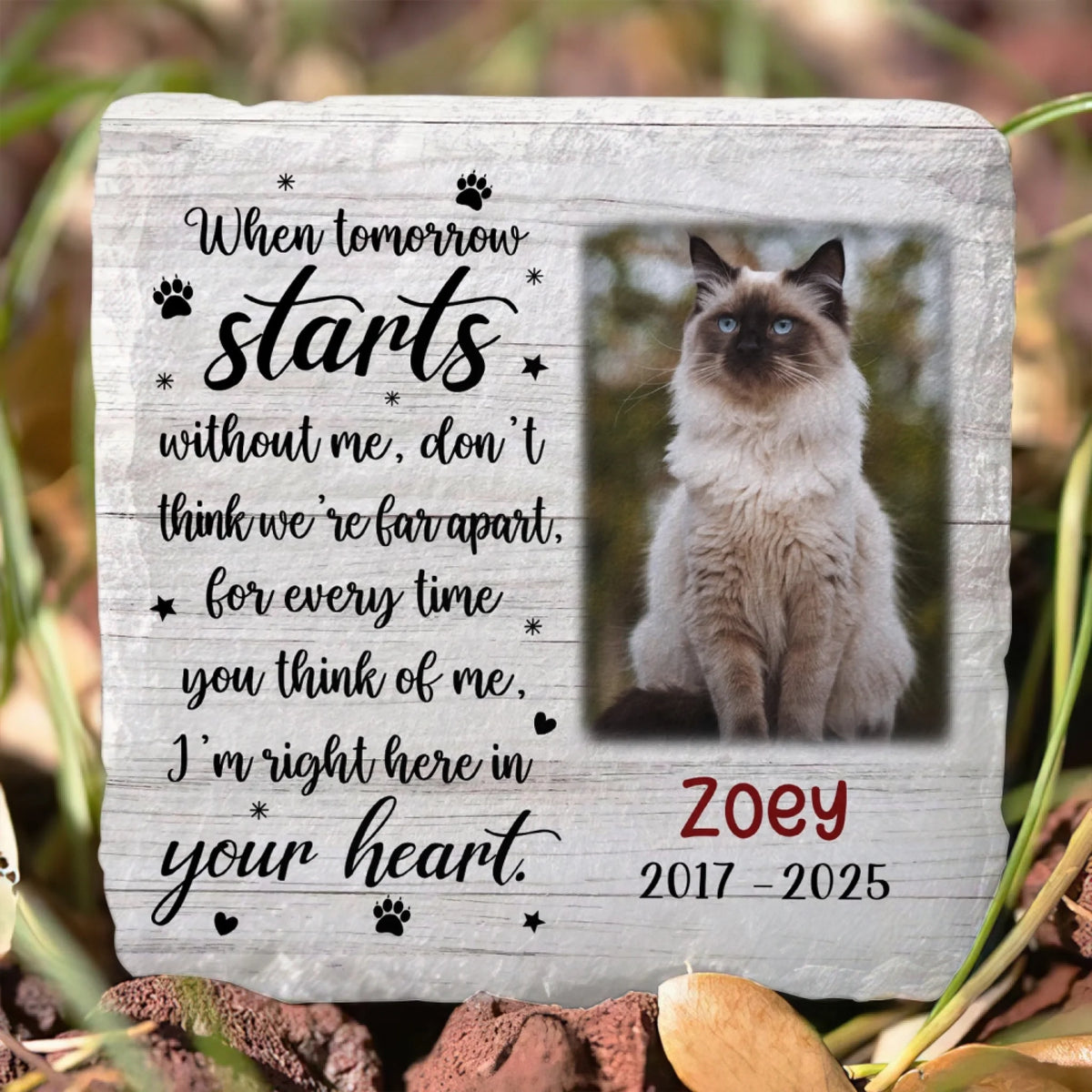 When Tomorrow Starts Without Me - Personalised Memorial Stone, Sympathy Gift For Loss Of Pet