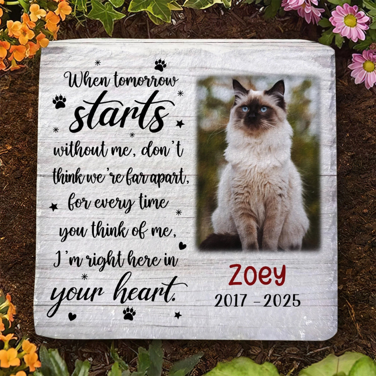 When Tomorrow Starts Without Me mk 5