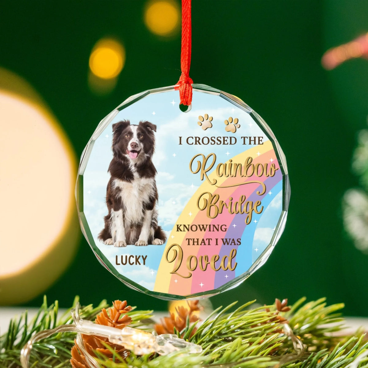 I Crossed The Rainbow Bridge Knowing That I Was Loved mk 6