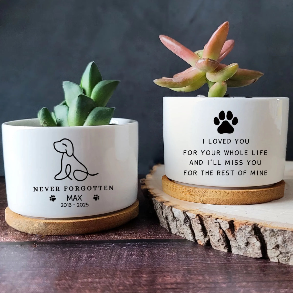 I'll Miss You For The Rest Of Mine - Personalized Plant Pot, Line Art Style, Loss Of Pet Gift