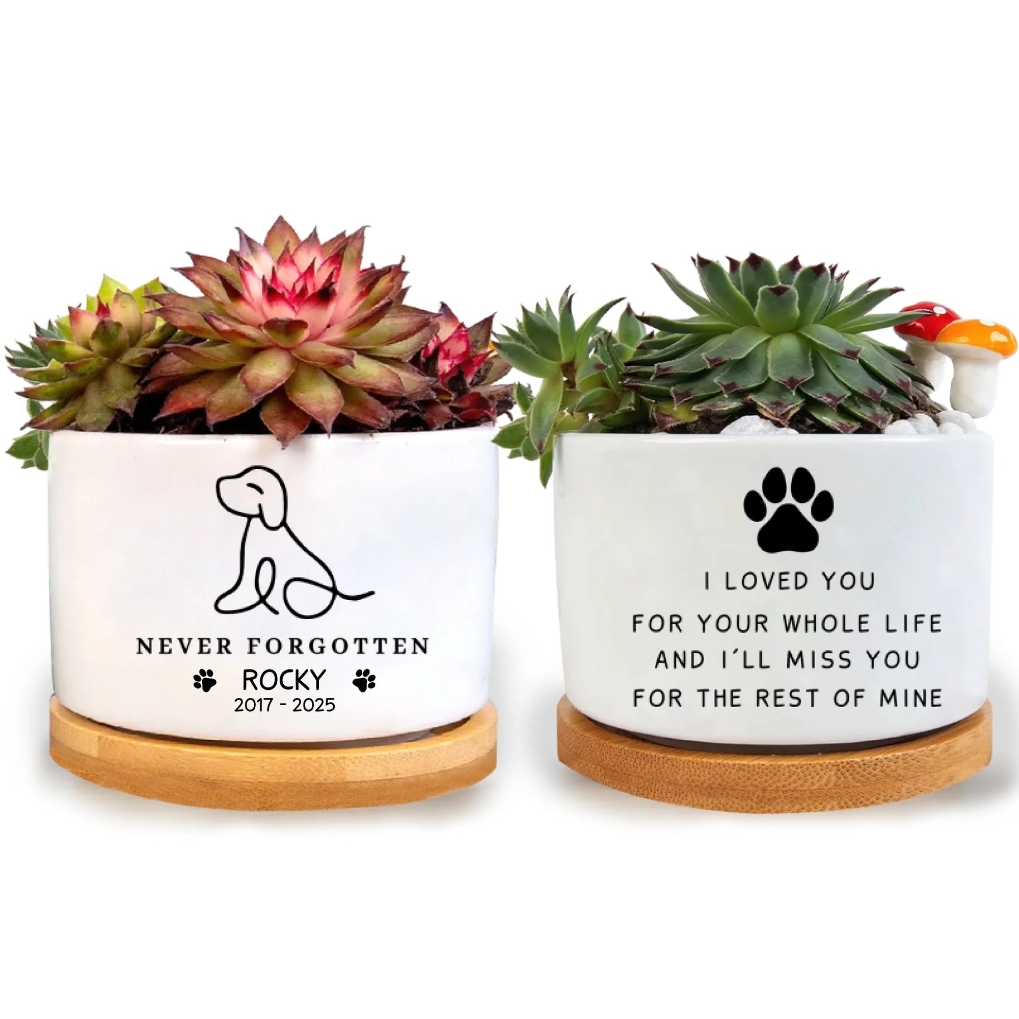 I'll Miss You For The Rest Of Mine - Personalized Plant Pot, Line Art Style, Loss Of Pet Gift