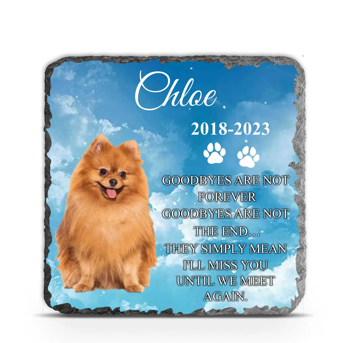 Goodbyes Are Not Forever - Personalized Memorial Stone, Pet Loss Gift - MS63