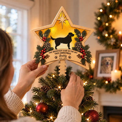 Personalized Brightest Star Christmas Tree Topper held by a woman about to set it on a small lit tree